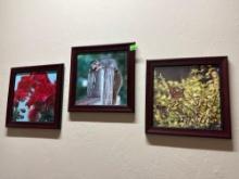 picture frames