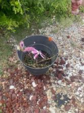 Flower pot