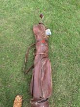 Golf clubs and bag