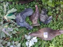 Chicken yard decor