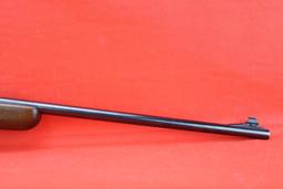 Savage Model 99 .243 WIN