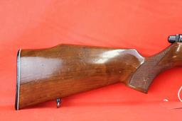 Krico .22 Auto