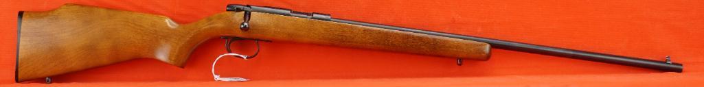 Remington Mod 580 .22