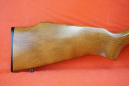 Remington Mod 580 .22