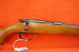 Remington Mod 580 .22