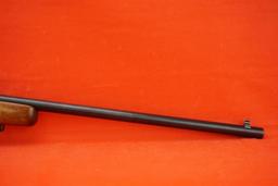 Remington Mod 580 .22
