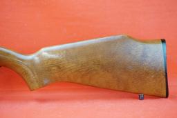 Remington Mod 580 .22
