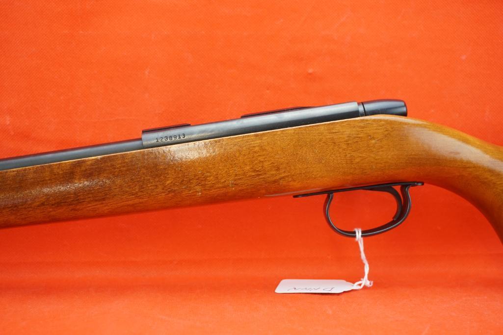 Remington Mod 580 .22