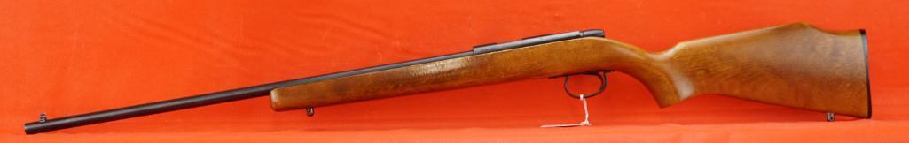 Remington Mod 580 .22
