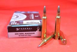 One box of Federal 300 Win Mag 180 gr SP. New, count 20.