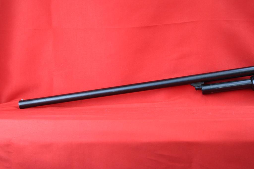 Springfield 20ga