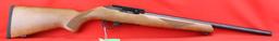 Ruger 10/22