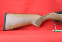 Ruger 10/22