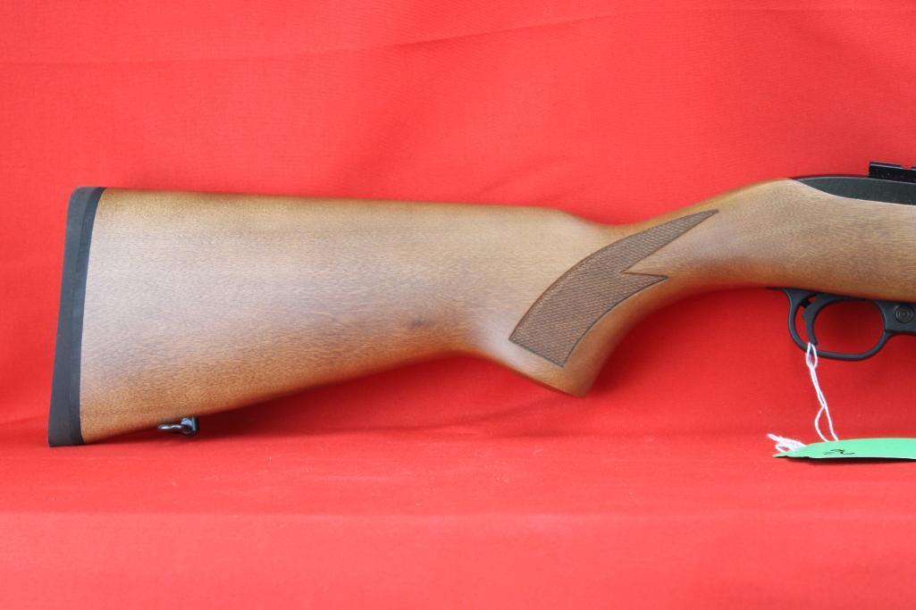 Ruger 10/22