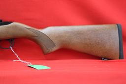 Ruger 10/22