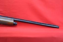 Winchester 20ga