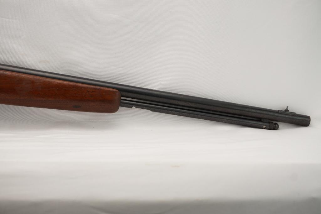 Hawthorne Warrior Model M820B .22