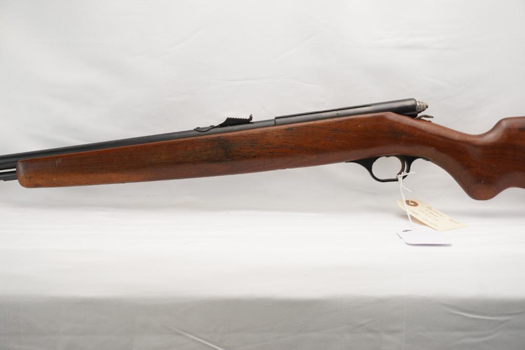 Hawthorne Warrior Model M820B .22