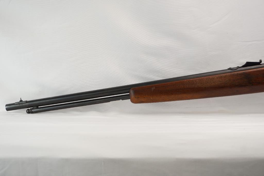 Hawthorne Warrior Model M820B .22