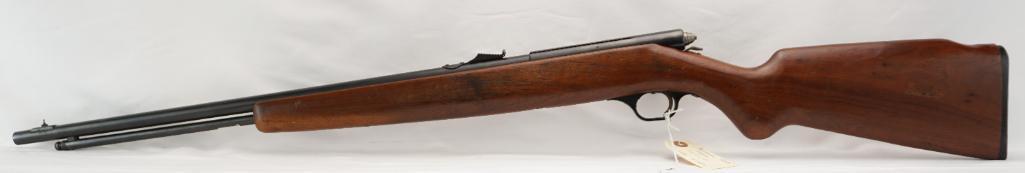 Hawthorne Warrior Model M820B .22