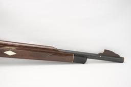 Remington Nylon 66 .22LR