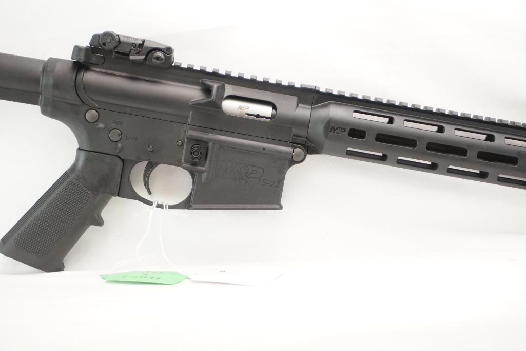 S&W M&P 15-22