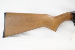 Winchester Mod 190 .22LR