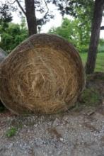 One bale of coastal hay.