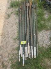Seventeen 6 foot T-posts. Used.