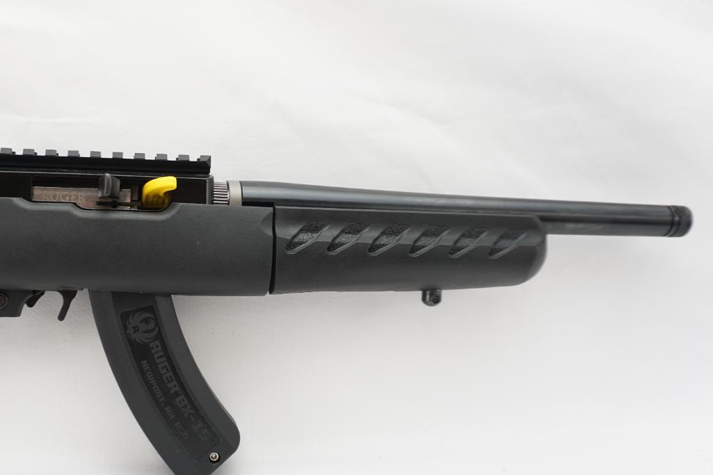 Ruger 22 Charger