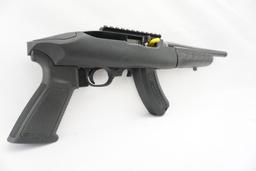 Ruger 22 Charger
