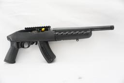 Ruger 22 Charger