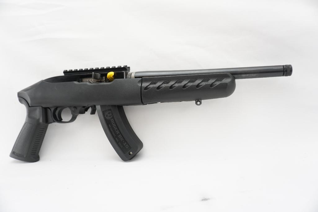 Ruger 22 Charger