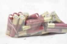 Bag of .410 3" #6 shotshells, 24 count