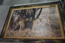 Two wall framed wildlife pictures. One Leopard, and one Mt. Lion.
