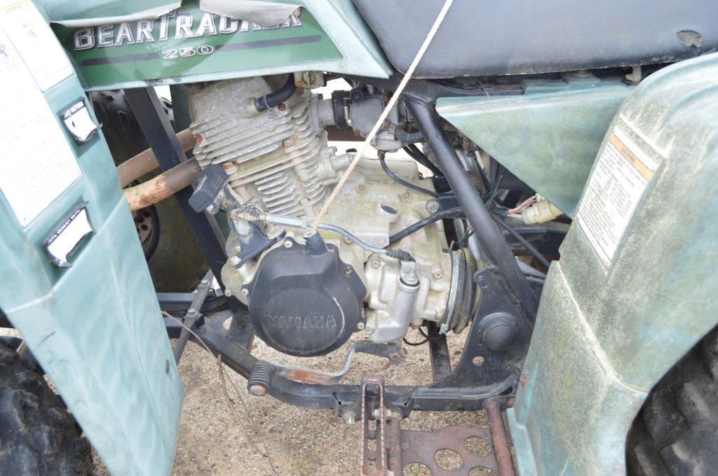 Yamaha Bear Tracker 250