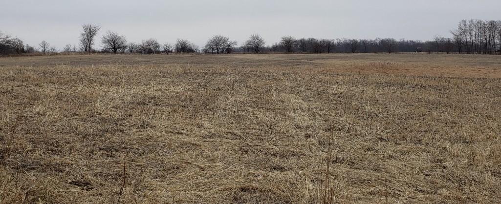 Tract 3 - 39.40 Surveyed Acres