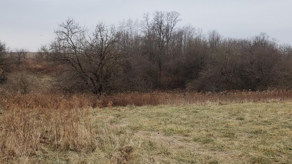 Tract 3 - 39.40 Surveyed Acres