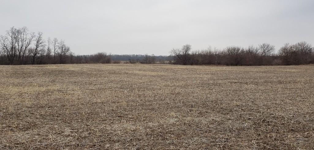 Tract 3 - 39.40 Surveyed Acres