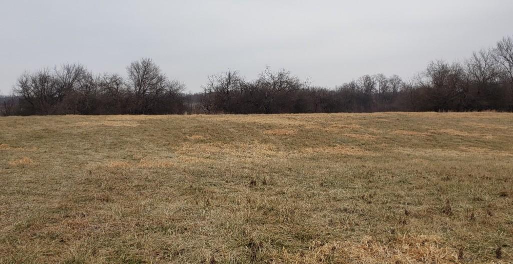 Tract 3 - 39.40 Surveyed Acres
