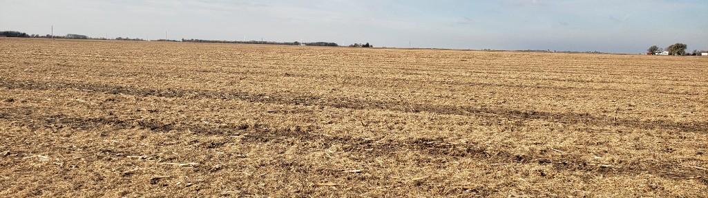 Tract 2 - 80.41 Acres