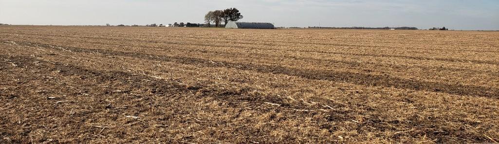Tract 2 - 80.41 Acres