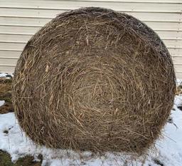 Grass Hay Round Bales