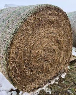 Grass Hay Round Bales