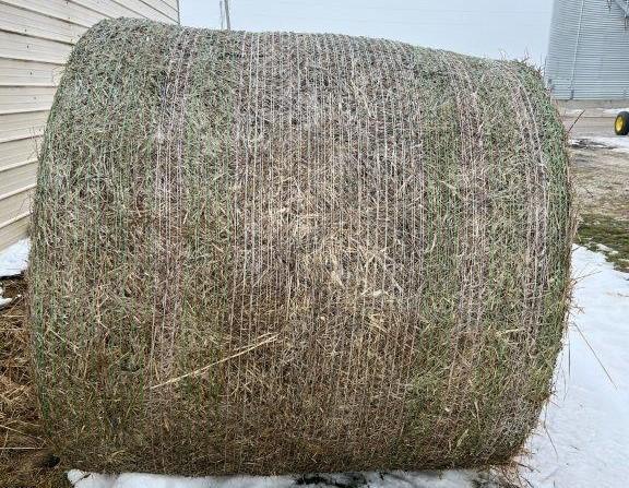Grass Hay Round Bales