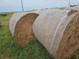 2nd cut alfalfa grass round bale, net wrapped, rained on