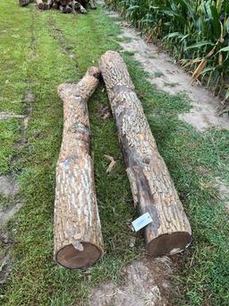 hedge anchor post, cut Nov '23