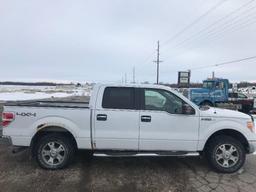 2009 FORD F150 XL