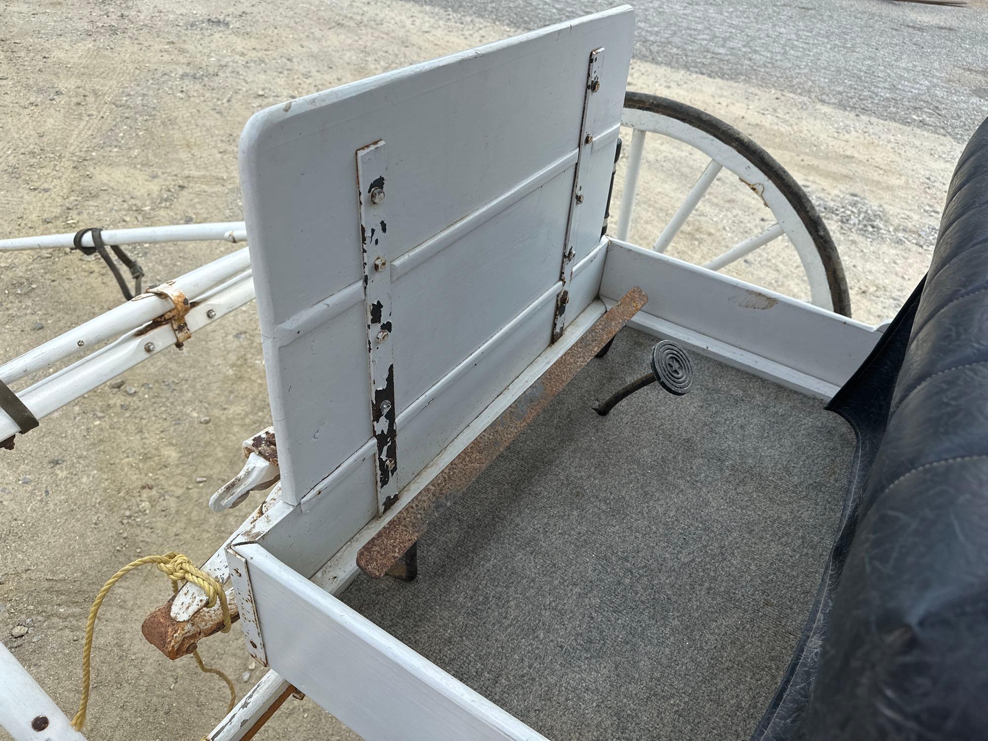 Horse Drawn Carriage