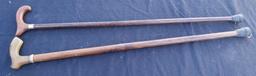 (2) walking Canes